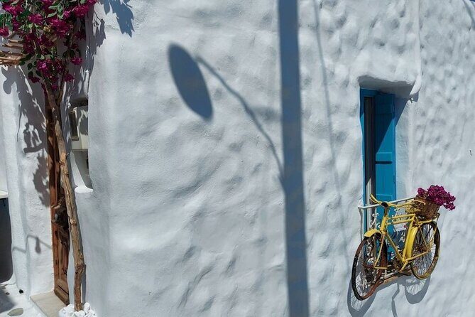 Half-Day Naxos Old Town, Castle and Apollo Temple Private Tour - Frequently Asked Questions