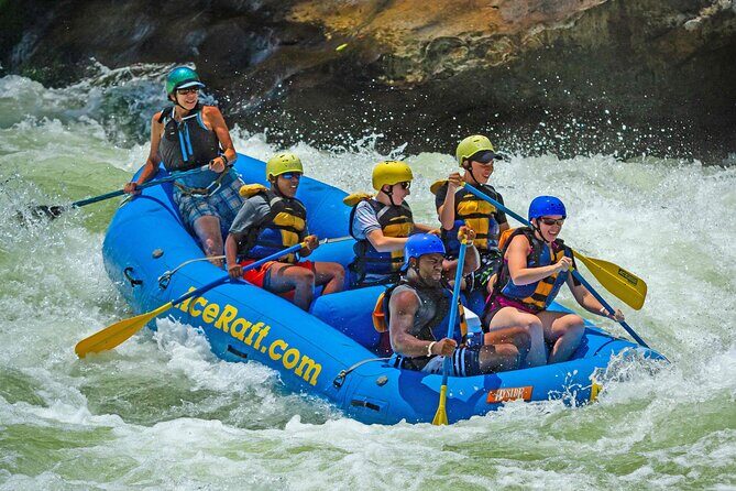 Half Day New River Gorge Whitewater Rafting - Key Points