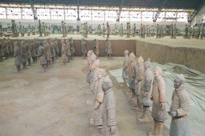 Half-day No-shopping Group Tour of Terracotta Army - Who Should Consider This Tour?