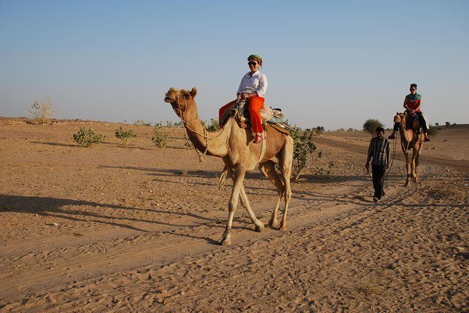Half day, non touristic sand dune ,camel safari with dinner - Practical Tips for Travelers