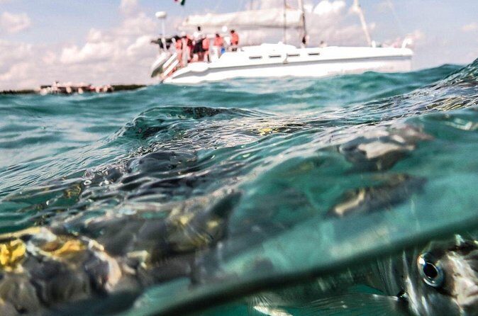 Half Day Nude Cruise Tour at Maroma Beach - FAQ