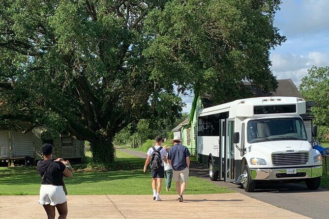 Half-Day Oak Alley Plantation Tour in Vacherie - Final thoughts
