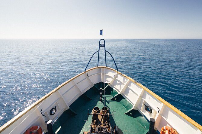 Half-Day Odyssey Guided Boat Safari with Lunch in Cyprus - A Deep Dive into the Odyssey Boat Safari