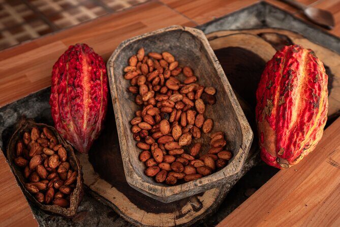 Half Day of Cooking and Chocolate at Cocoa Farm from Guayaquil - Key Points