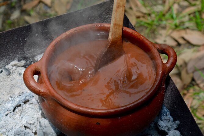Half Day of Cooking and Chocolate at Cocoa Farm from Guayaquil - Who Will Love This Experience?