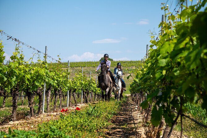Half-Day of Horseback Adventure with Wine Tasting - Uncover Bulgaria’s Beauty on a Half-Day Horseback and Wine Tour