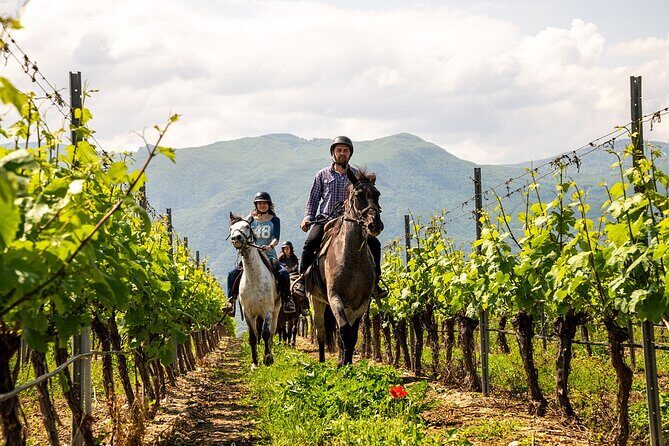 Half-Day of Horseback Adventure with Wine Tasting - The Authentic Experience: Why It Matters