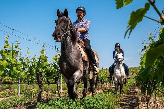 Half-Day of Horseback Adventure with Wine Tasting - Who Should Consider This Tour?