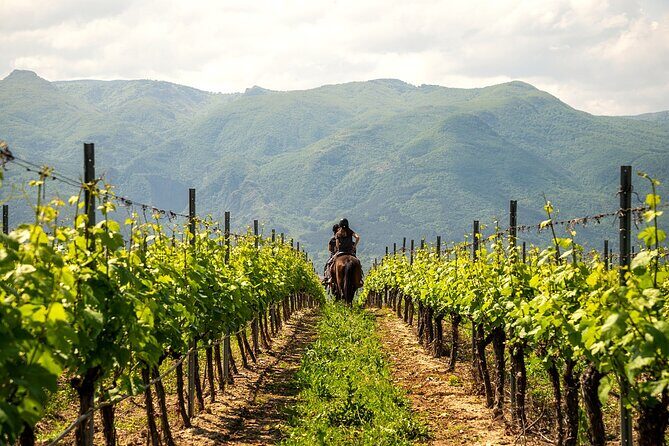 Half-Day of Horseback Adventure with Wine Tasting - Final Thoughts