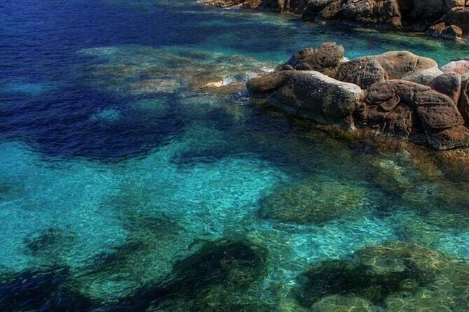 Half Day of Snorkeling and a Swim on Elba Island - A Deep Dive into the Snorkeling Experience on Elba Island
