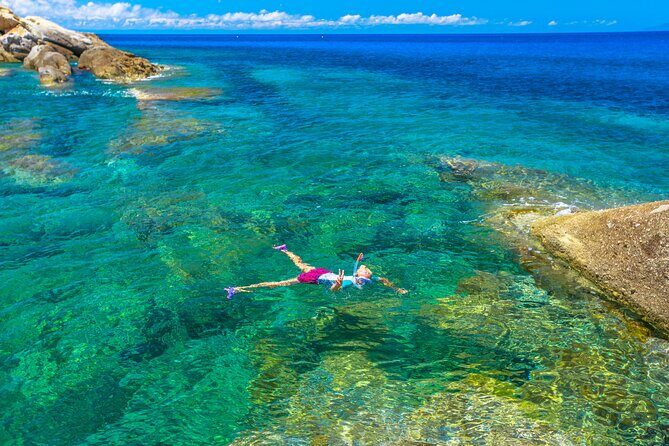 Half Day of Snorkeling and a Swim on Elba Island - What the Reviews Say