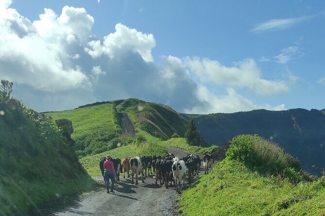 Half Day Off Road Tour in Azores - Who Should Consider This Tour?