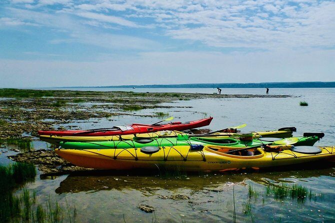 Half-Day Orleans Island Small-Group Sea Kayaking Tour - A Closer Look at the Itinerary