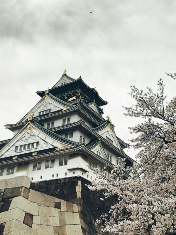 Half-Day Osaka Off-The-Beaten-Path City Exploration Walking Tour - At a glance