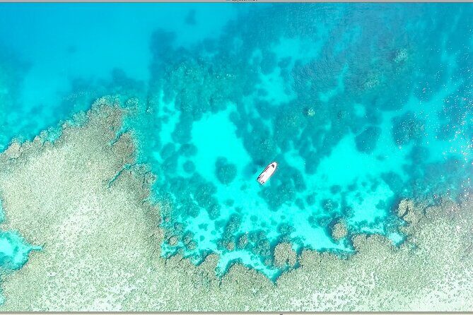 Half Day Outer Reef Snorkelling Tour from Port Douglas - An In-Depth Look at the Half-Day Outer Reef Snorkelling Tour