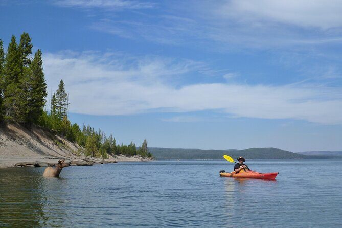 Half Day Paddle on Yellowstone Lake - Authentic Experiences and Practical Details