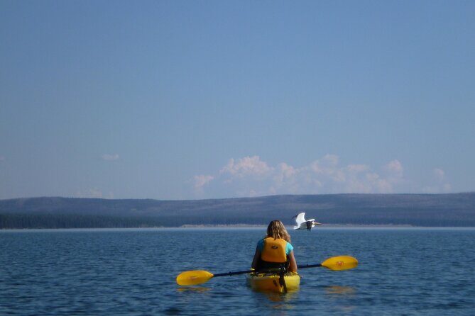 Half Day Paddle on Yellowstone Lake - Who Should Consider This Tour?