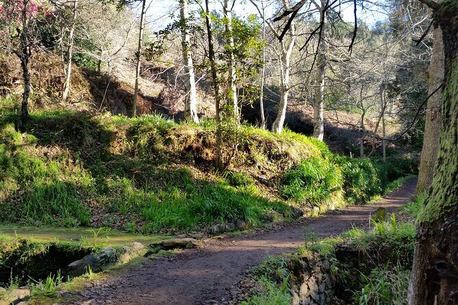 Half-Day Paradise Valley Walking Tour - A Closer Look at the Paradise Valley Walking Tour