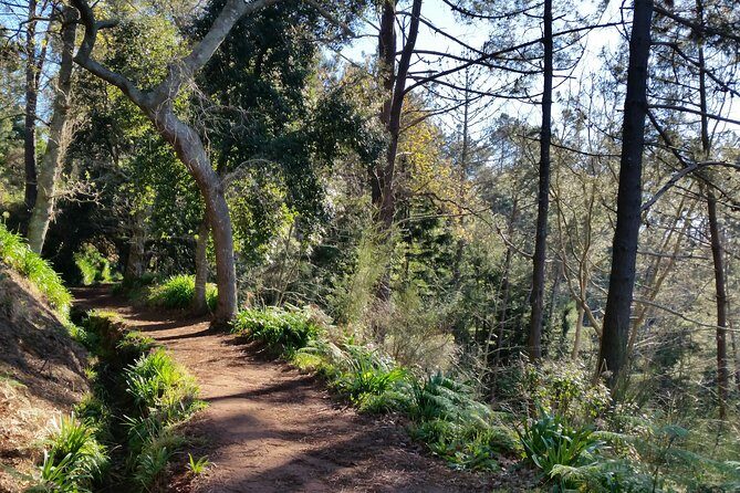 Half-Day Paradise Valley Walking Tour - The Itinerary in Detail