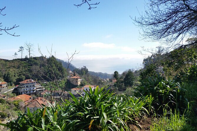 Half-Day Paradise Valley Walking Tour - Why This Tour Offers Good Value