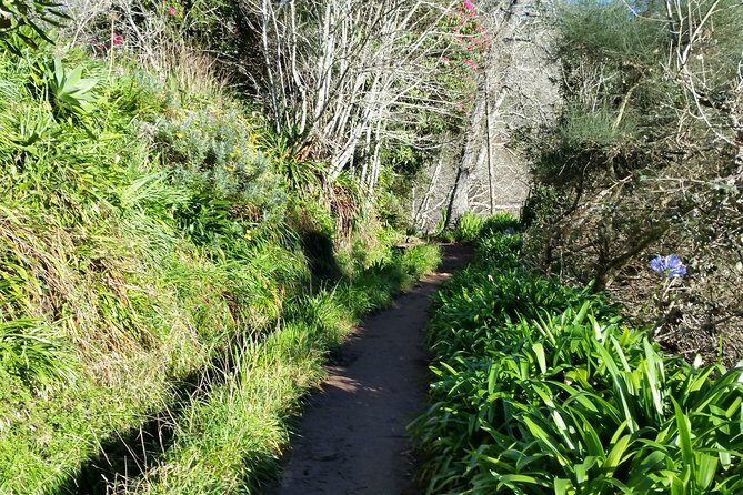 Half-Day Paradise Valley Walking Tour - Frequently Asked Questions (FAQs)