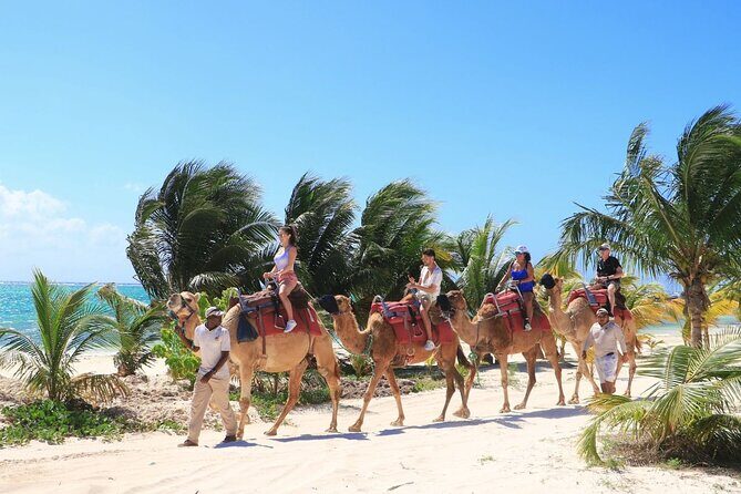 Half-Day Parasailing and Camel Caravan Tour in Maroma Beach - Logistics and Practical Details