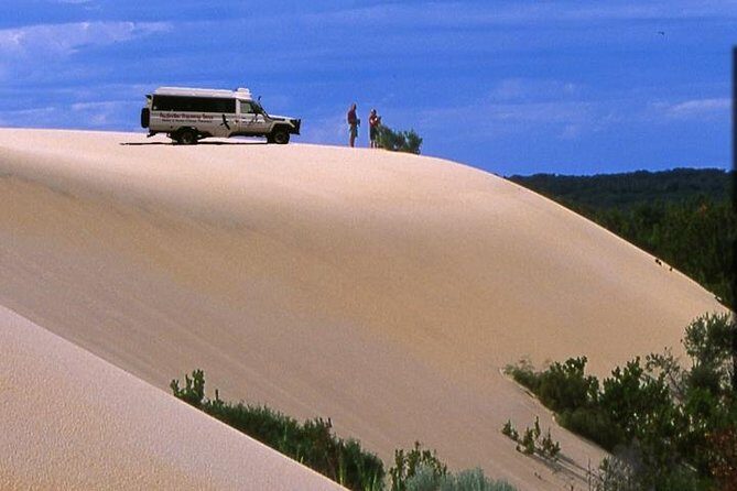 Half-Day Pemberton National Parks Beach and Forest Eco Adventure - Experience Breakdown and What to Expect