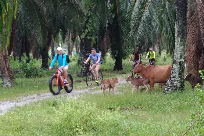 Half-Day Penang Countryside Cycling Tour - What the Experience Feels Like