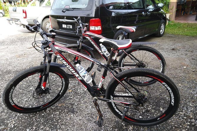Half-Day Penang Countryside Cycling Tour - Value for Money