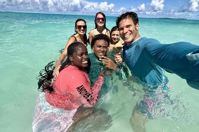 Half Day Pigs Turtles Reef and Ship Wreck Snorkeling - Key Points