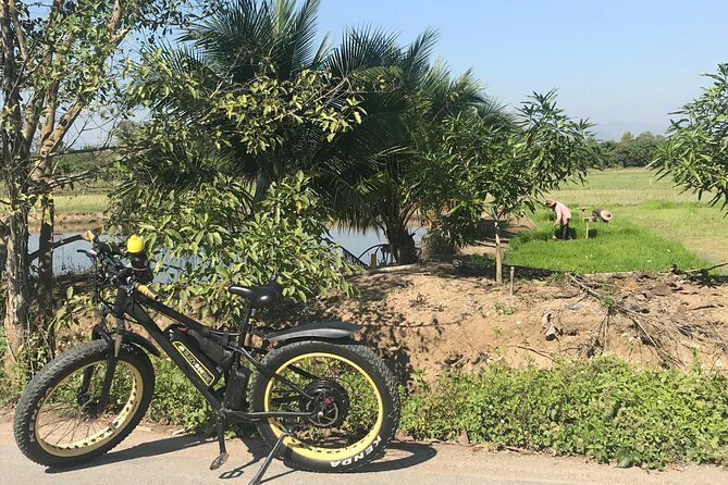 Half-day Ping River and rice paddies E-bike adventure (flat land, GUIDED) - Who Would Enjoy This Tour?