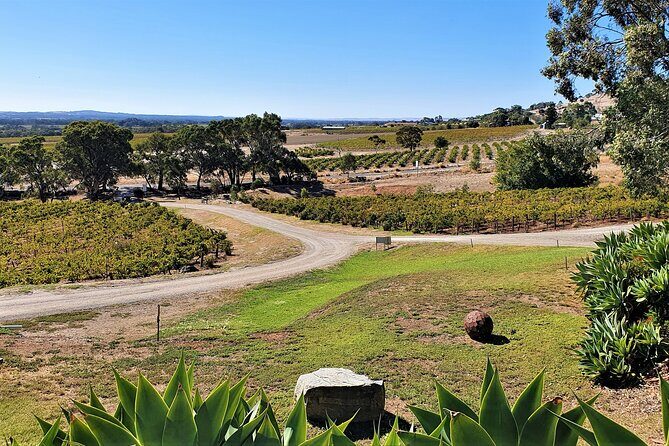 Half-day Private Barossa Valley Tour by Red Cab from Tanunda - FAQ
