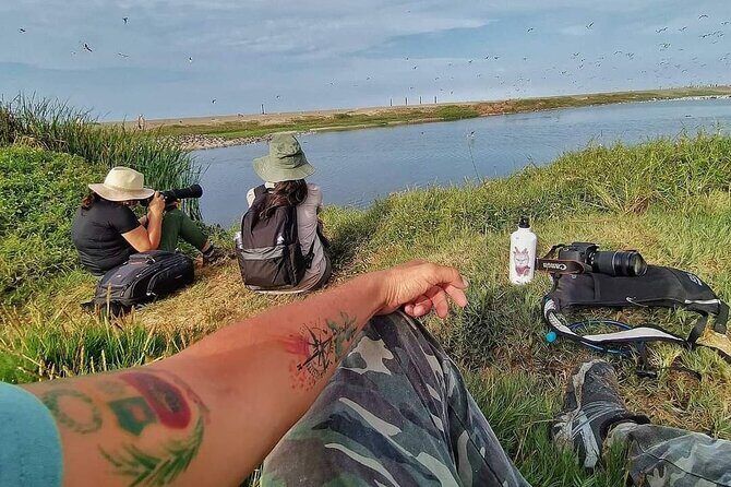 Half-Day Private Birdwatching Tour in Lima - Key Points