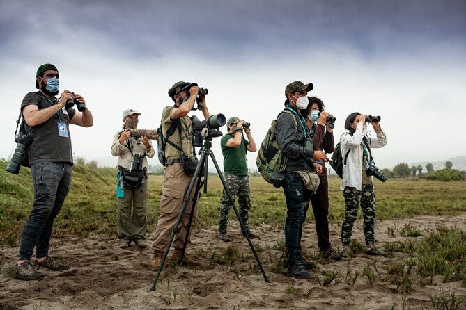 Half-Day Private Birdwatching Tour in Lima - The Sum Up: Is This Birdwatching Tour Worth It?