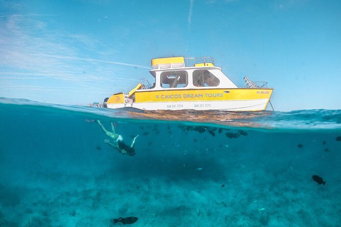 Half Day Private Boat Charter at Grace Bay, Providenciales - Key Points