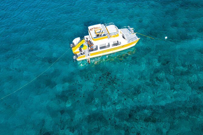 Half Day Private Boat Charter at Grace Bay, Providenciales - Frequently Asked Questions