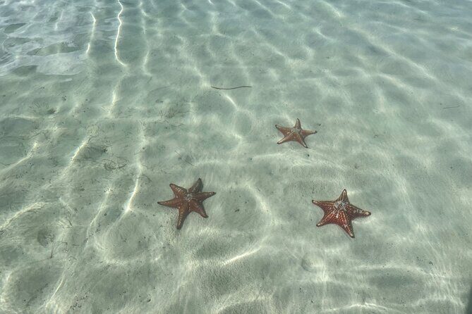 Half Day Private Boat Charter in Grand Cayman - Who Should Consider This Tour?