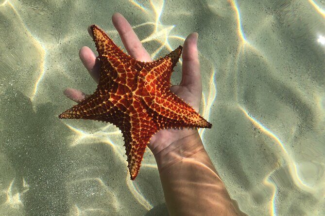 Half Day Private Boat Charter in Grand Cayman - The Sum Up