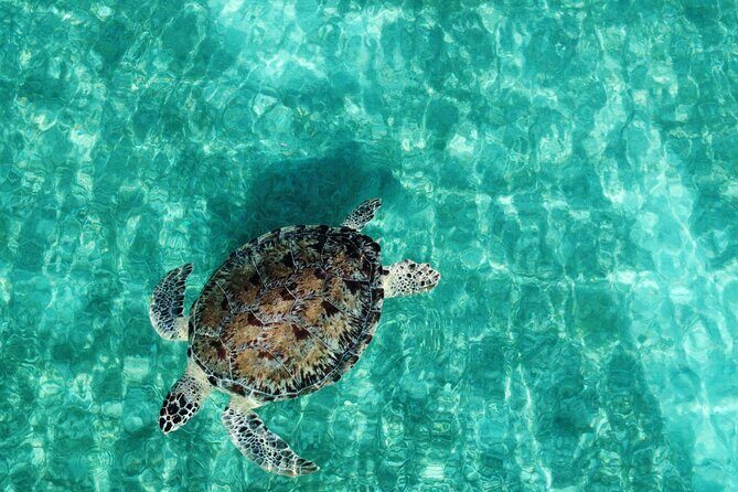 Half-Day Private Boat Experience  Appetizers & Drinks Included - Frequently Asked Questions