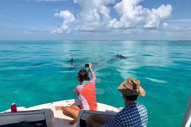 Half Day Private Boat Tour - Key Points
