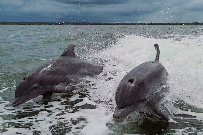 Half-Day Private Boating On Avalon Funship - Clearwater Beach - Frequently Asked Questions