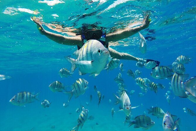 Half-Day Private Catamaran Tour in Puerto Plata - The Value of This Tour