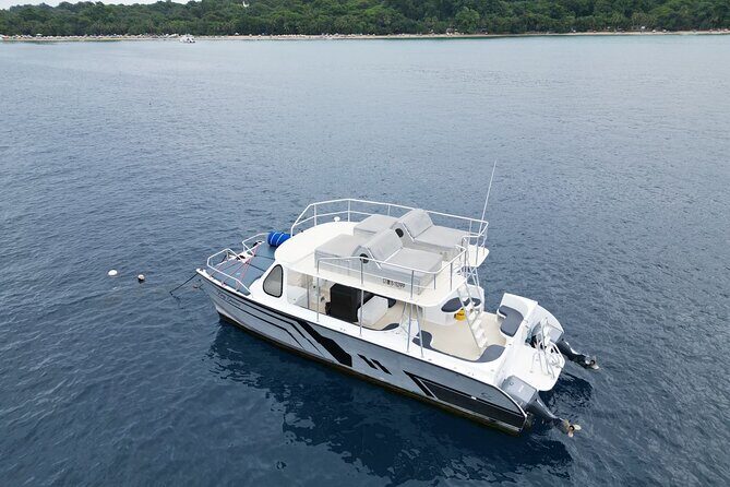 Half-Day Private Catamaran Tour in Puerto Plata - Who Should Consider This Tour?