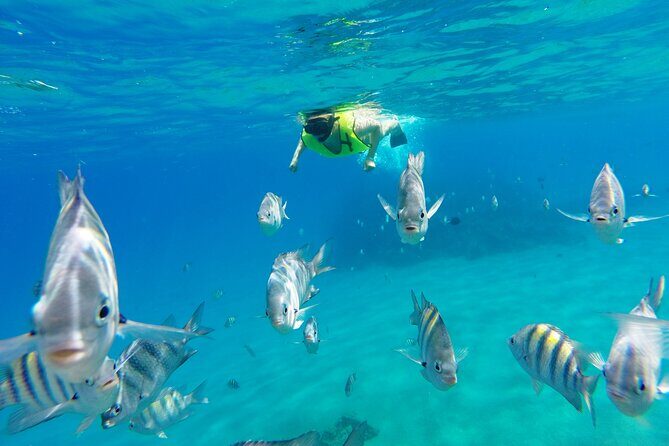 Half-Day Private Catamaran Tour in Puerto Plata - FAQ