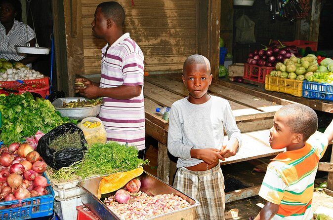 Half Day Private Cultural Tour Of Dominican Republic - Authentic Experiences and What Travelers Say