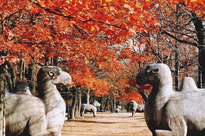 Half-Day Private Customized Nanjing City Tour - The Sum Up