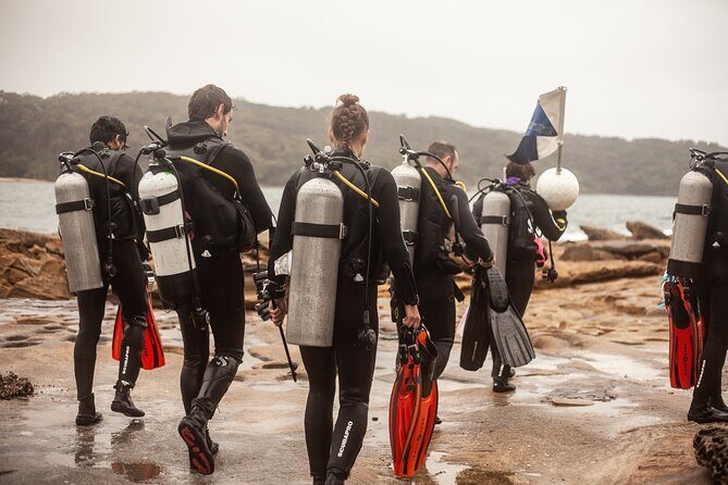 Half-Day Private Discover Dive at Australia's Iconic Beach - Real Experiences from Participants