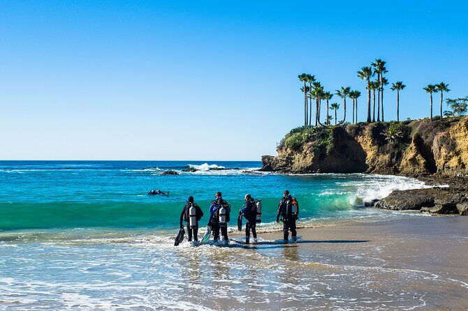 Half-Day Private Discover Dive at Australia's Iconic Beach - FAQs