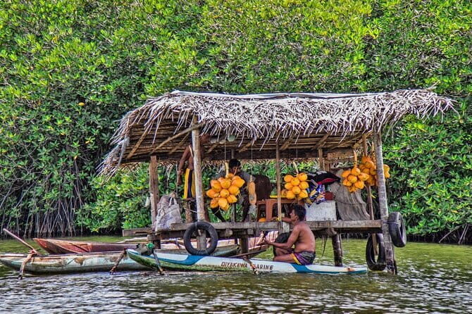 Half Day Private Exploration of the Beauty of Southern Coast - Key Points