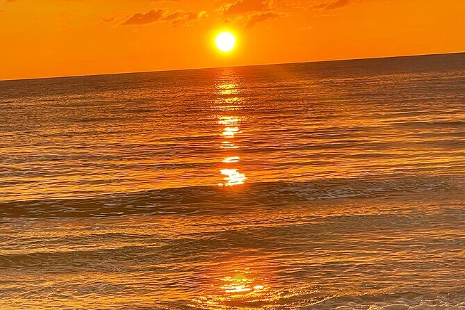 Half Day Private Fishing Trip with Site Seeing Around Anna Maria Island - Key Points